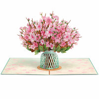 Cherry Blossom